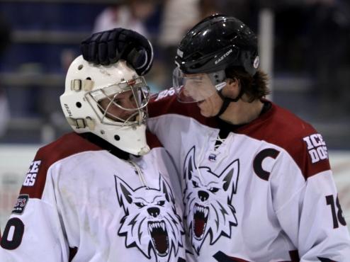 Ice Dog top Brown Bears