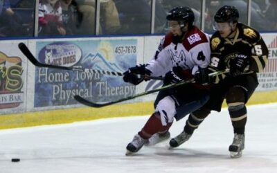 Hungry Brown Bears take down Ice Dogs