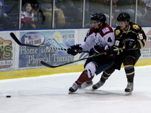 Hungry Brown Bears take down Ice Dogs