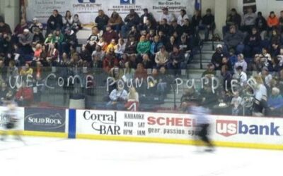 Ice Dogs let lead slip away, lose 4-2