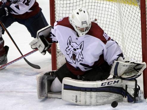 Ice Dogs sweep Magicians