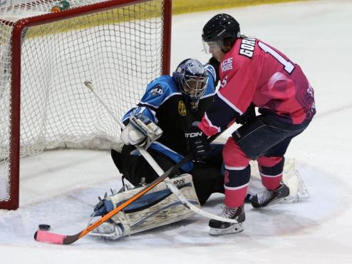 Wild ends Ice Dogs’ win streak