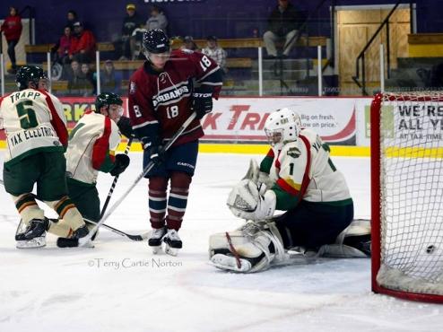 Ice Dogs come up short against the Wilderness