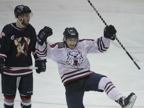 Ice Dogs fall to Johnstown Tomahawks in series-ending shootout