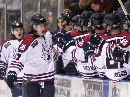 Ice Dogs rally but fall in overtime against Chill