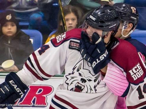Ice Dogs shut out Johnstown for series sweep