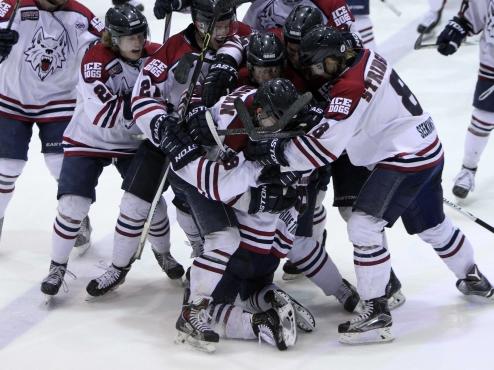 Mitchell Baumann’s overtime goal lifts Ice Dogs past Wilderness