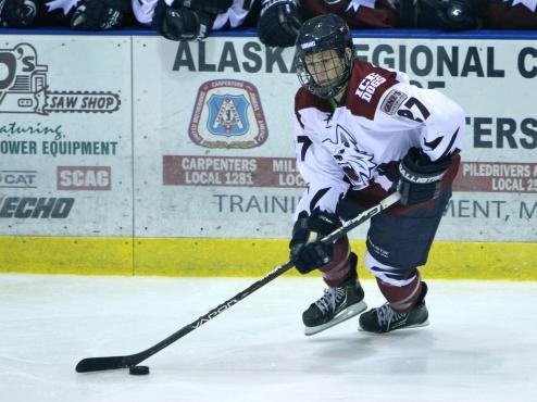 Ice Dogs get back on winning track with victory over Wildcats