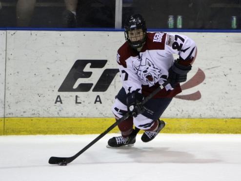 Brown Bears Continue to Dominate Ice Dogs