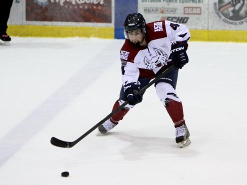 Ice Dogs' late rally comes up short