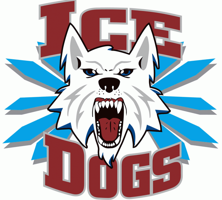 Newcomers look for playing time with Ice Dogs