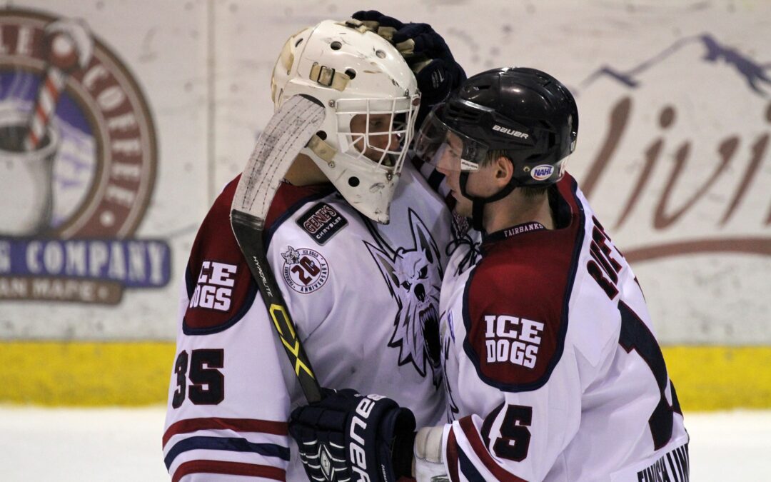 Ice Dogs bounce back with shutout of Rebels