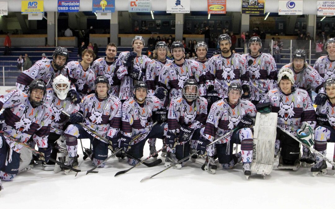 Haider’s two goals aid Ice Dogs’ win