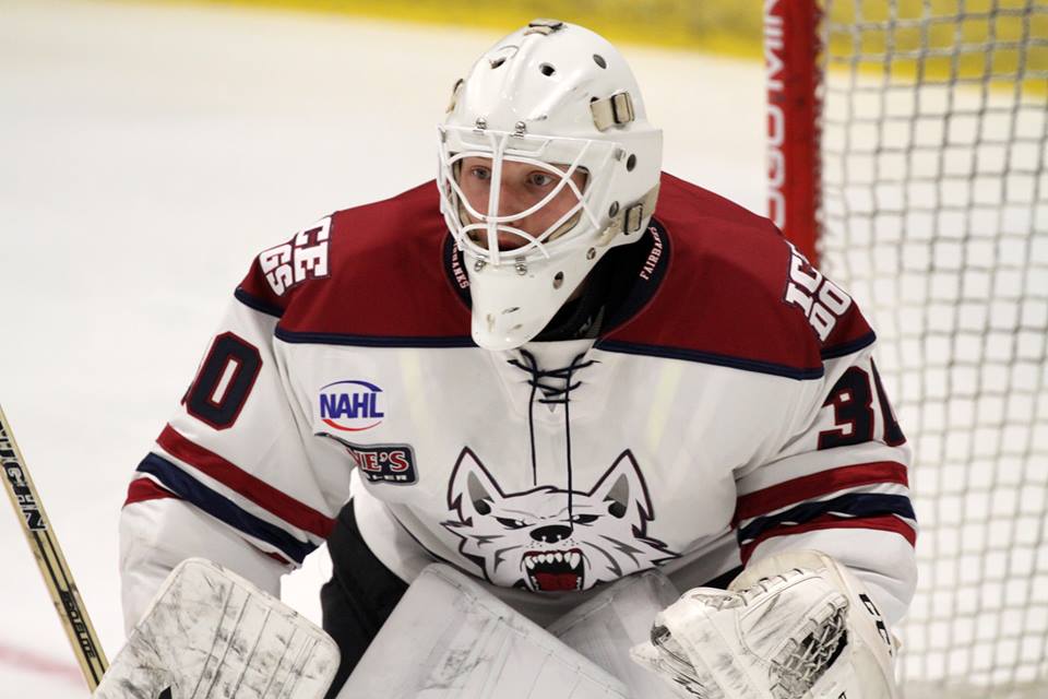 Ice Dogs roll past Brown Bears