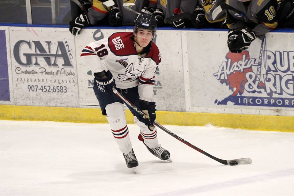 Ice Dogs rebound, split series with Bobcats