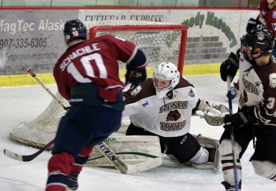 Ice Dogs cruise past Brown Bears
