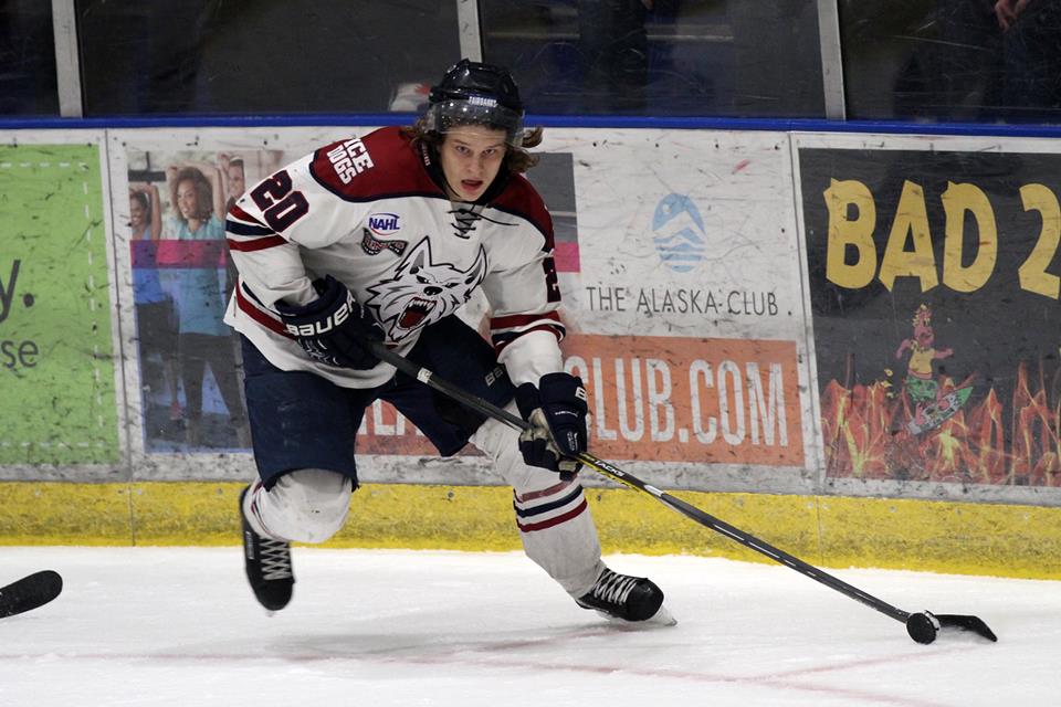 Ice Dogs steamroll Brown Bears 6-1