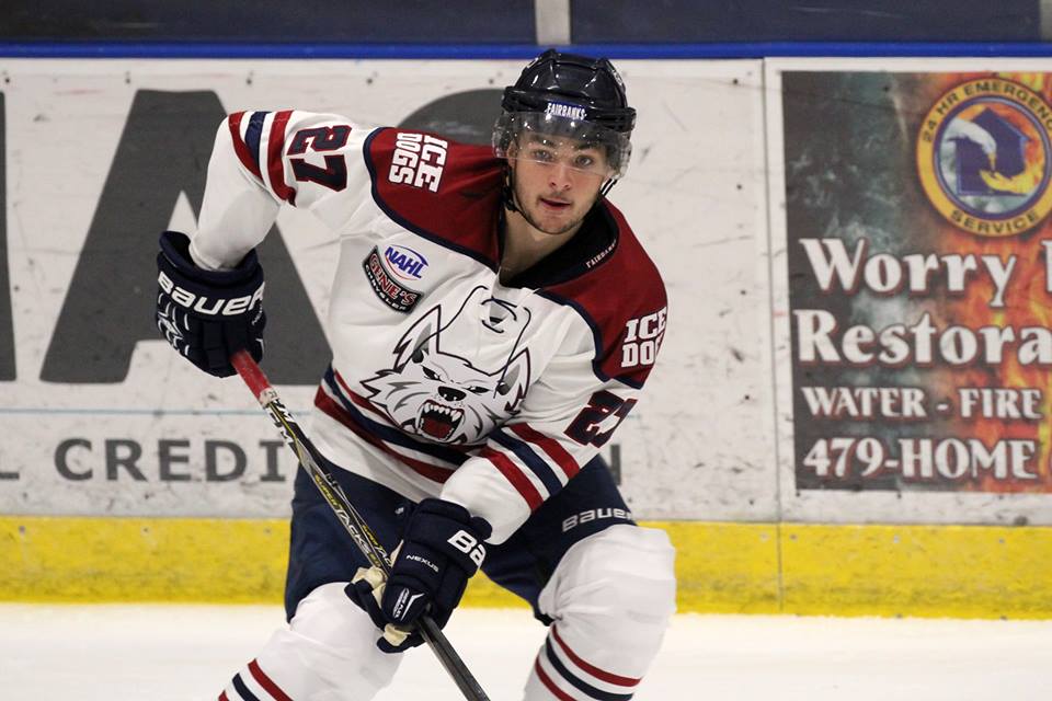 Ice Dogs hold off Knights