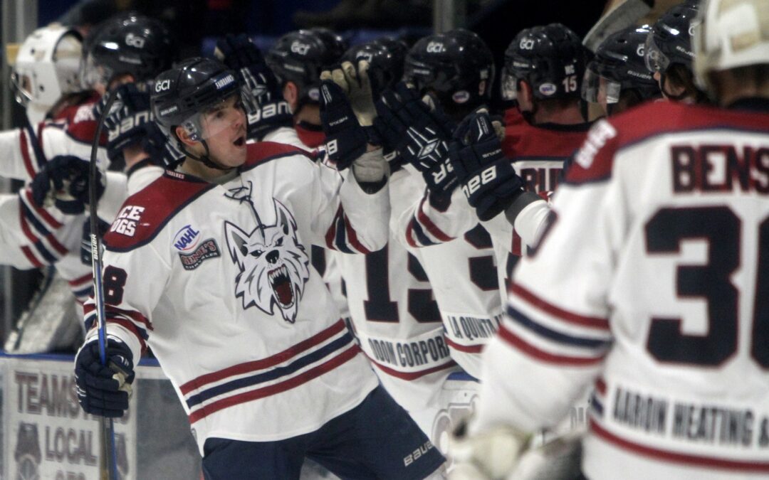 Ice Dogs edge Brown Bears in finale