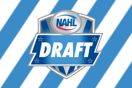 Ice Dogs draft seven players