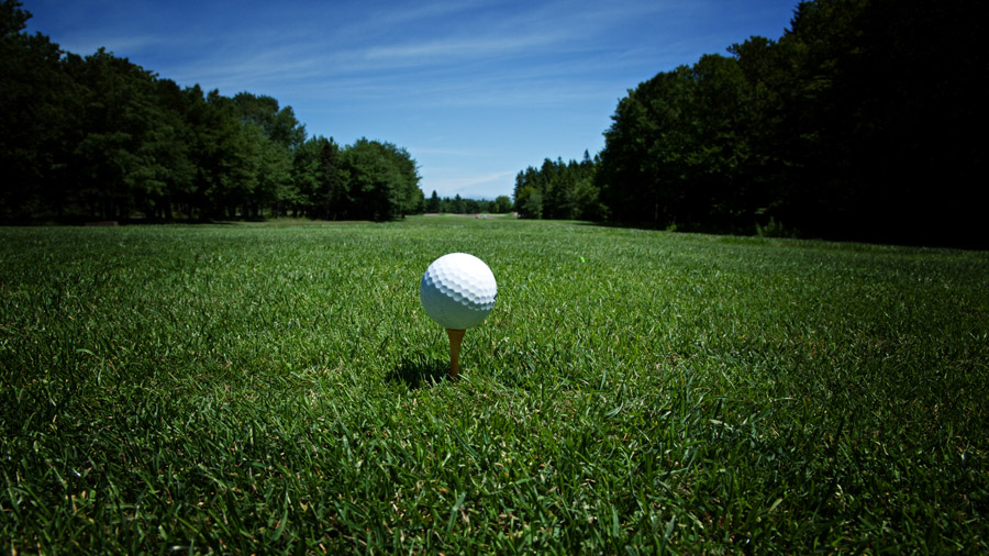 Ice Dog golf scramble set for August 25