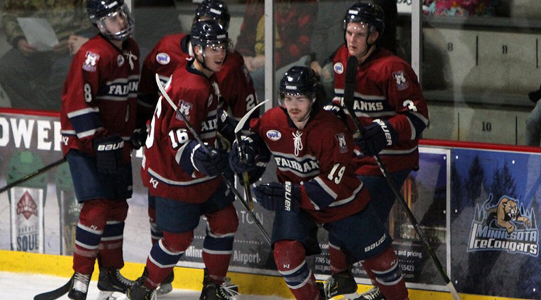 Dogs vs Wolves in New Mexico