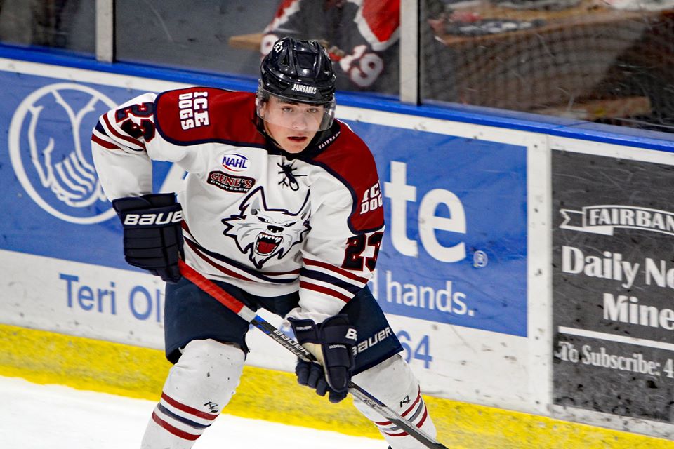 Ice Dogs open decade with sweep