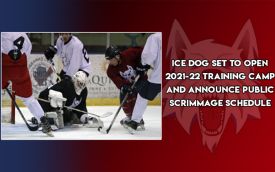 Ice Dogs training camp opens August 29