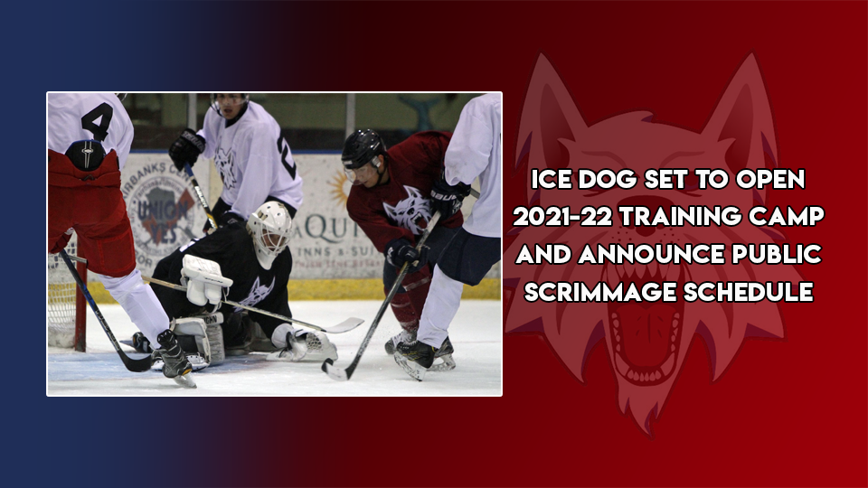 Ice Dogs training camp opens August 29