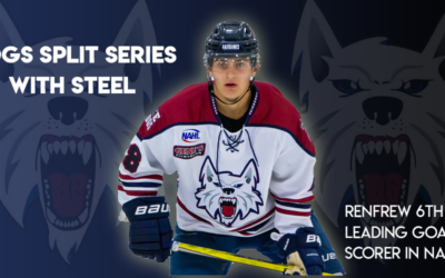 Dogs host division leading Jr. Blues