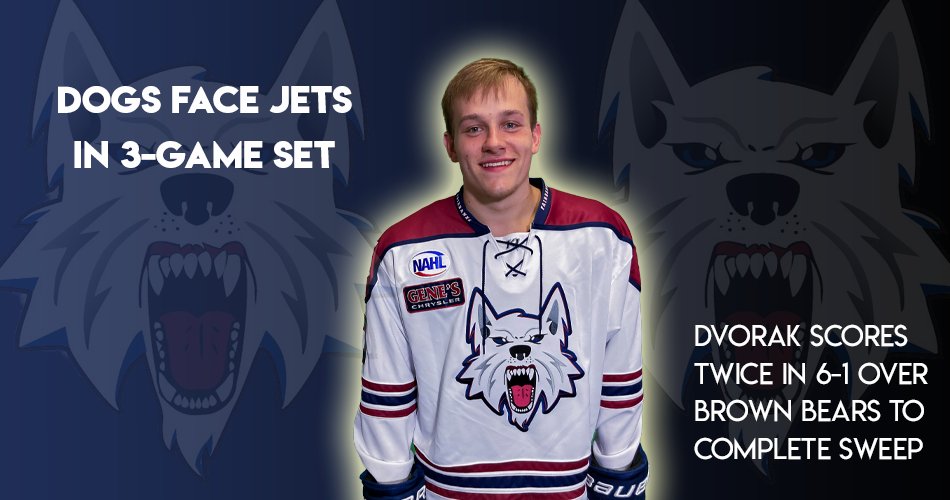 Ice Dogs Sweep Brown Bears