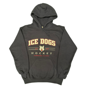Adult Navy Hoodie