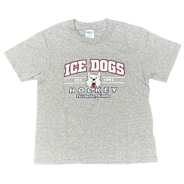 Adult Grey T-Shirt