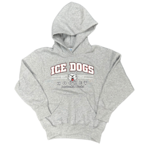Youth Grey Hoodie