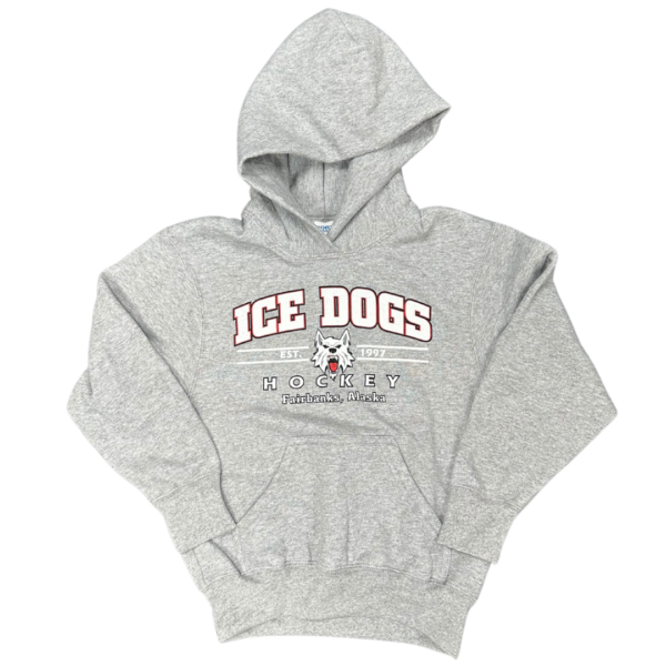 Youth Grey Hoodie