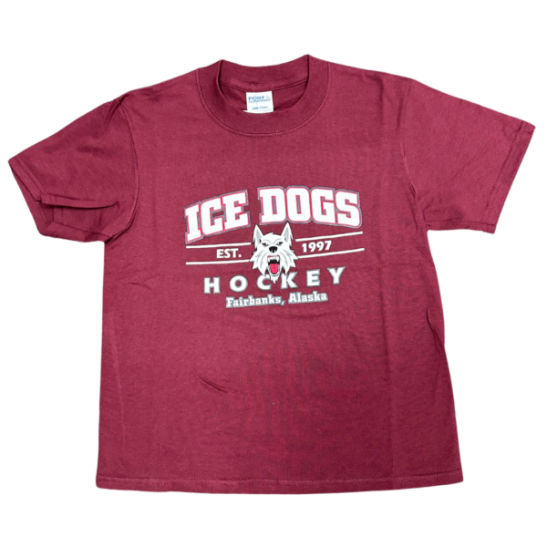 Youth Maroon T-Shirt
