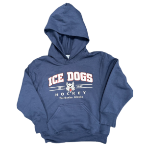Youth Navy Hoodie