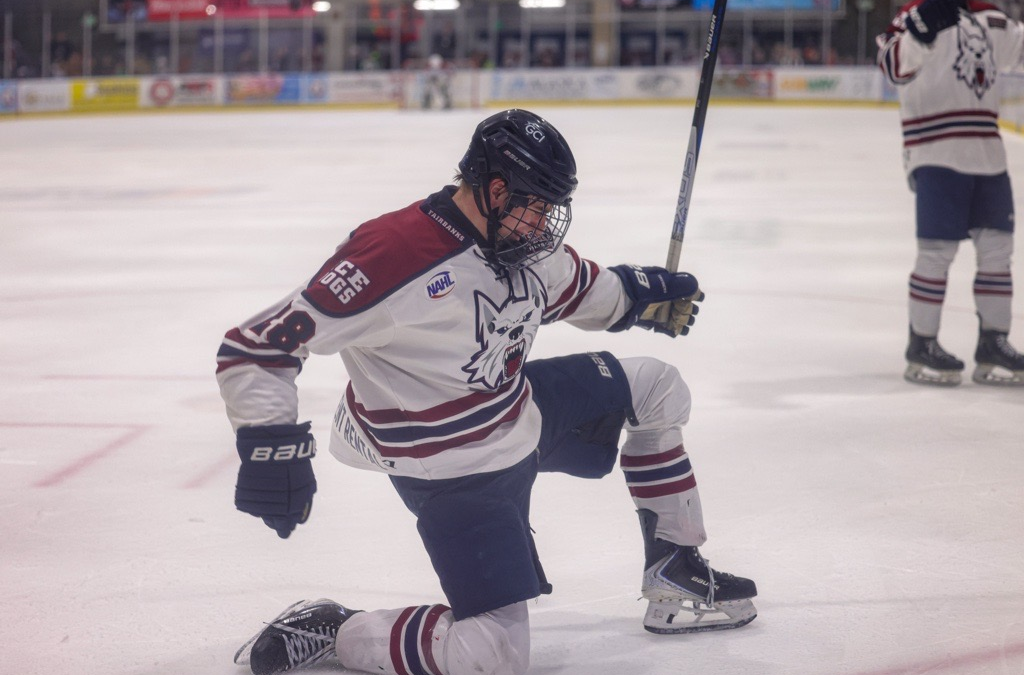 ICE DOGS FORWARD MACK DIGGINS MAKES NCAA DIVISION I COMMITMENT