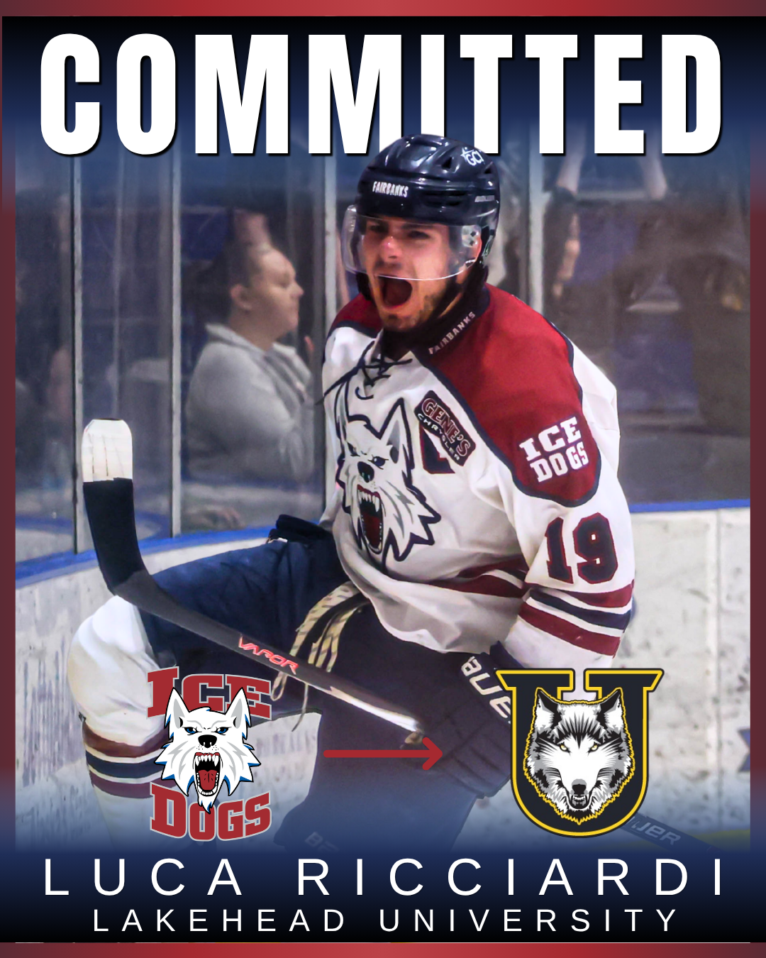 Rico Committed
